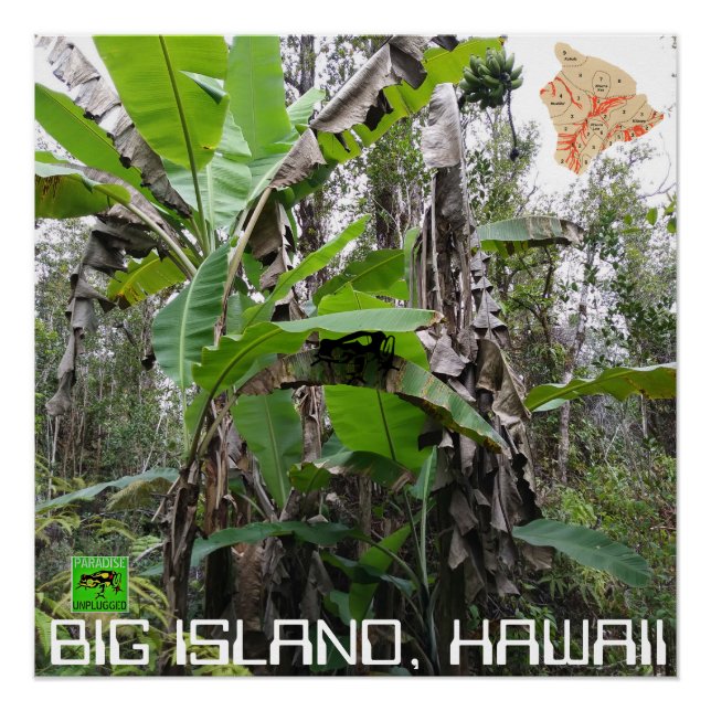 BIG ISLAND HAWAII POSTER (Front)
