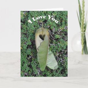 Big Leaf Maple Heart - Frameable Art Card