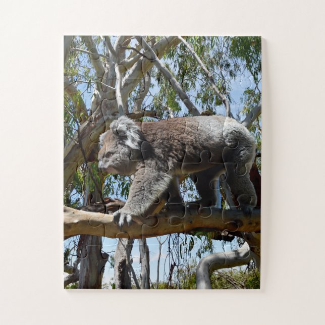Big Male Australian Koala, Jigsaw Puzzle (Vertical)