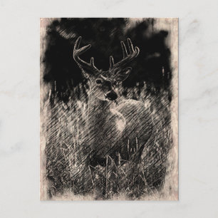 Big Meadows Buck Postcard