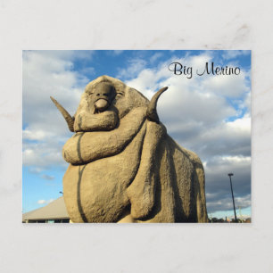big merino ram postcard