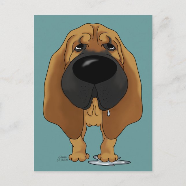 Big Nose Bloodhound Postcard (Front)