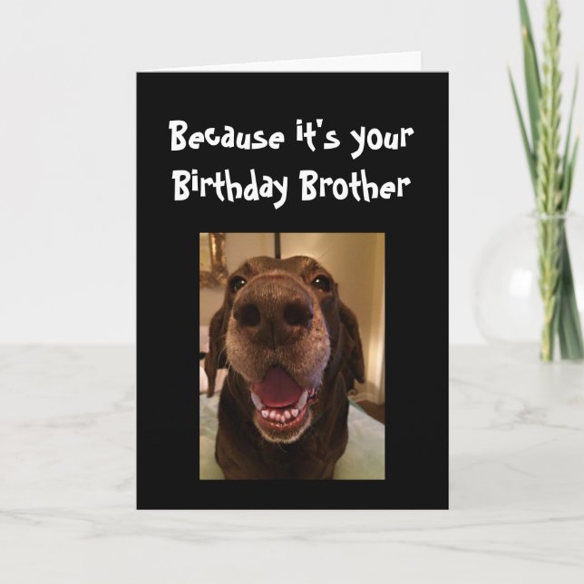 Big Nose Dog Funny Birthday Brother Love Dog Card (Front)