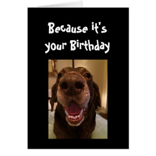 Big Nose Dog Funny Birthday Love Dog