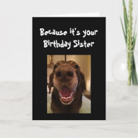 Big Nose Dog Funny Birthday Sister Love Dog