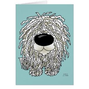 Big Nose Komondor