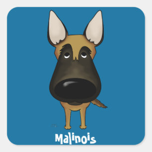 Big Nose Malinois Square Sticker