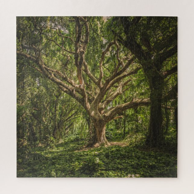 Big Old Ancient Tree in the Forest Jigsaw Puzzle (Vertical)