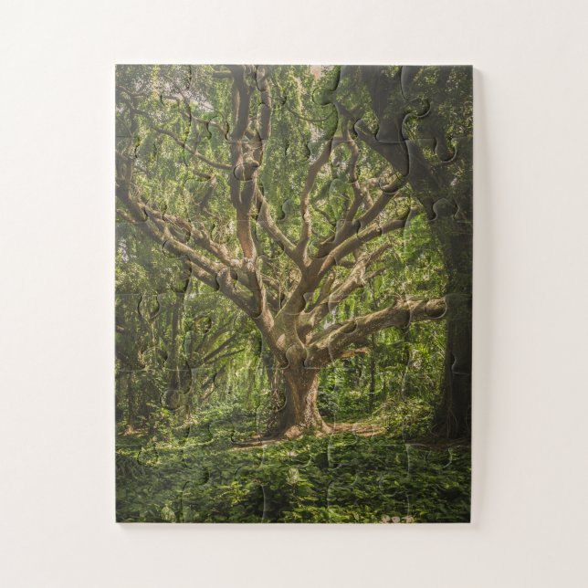 Big Old Ancient Tree in the Forest Jigsaw Puzzle (Vertical)