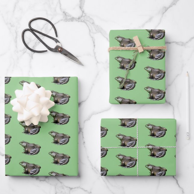 Big Old Bullfrog Animal Nature   Wrapping Paper Sheet (Front)