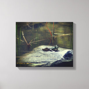 Big Old Bullfrog On Rock Nature Canvas Print