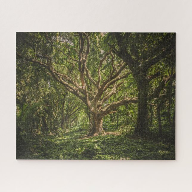 Big Old Tree in the Forest Jigsaw Puzzle (Horizontal)