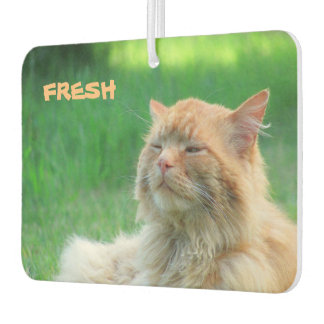 Big Orange Cat says "Fresh" Car Air Freshener