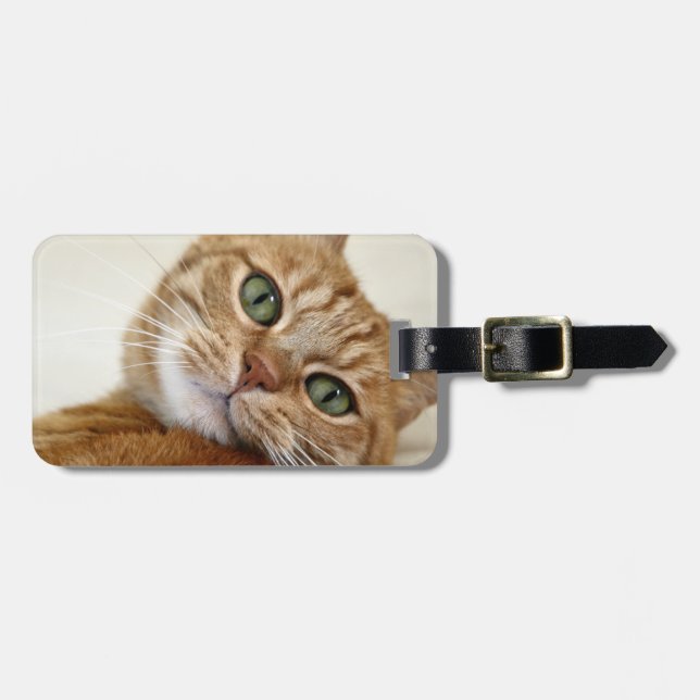 Big Orange Kitty Luggage Tag (Front Horizontal)