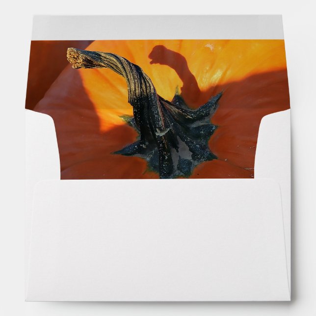 Big Orange Pumpkin  Envelope (Back (Bottom))