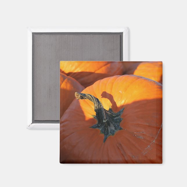 Big Orange Pumpkin  Magnet (Front/Back)