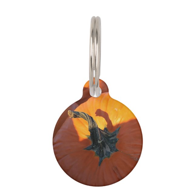 Big Orange Pumpkin  Pet Tag (Front)