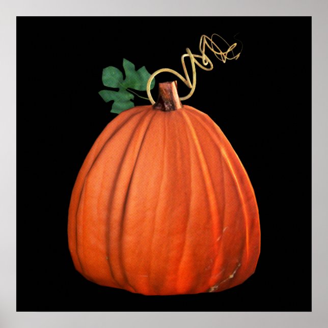 Big Orange Whimsical Pumpkin Poster (Front)