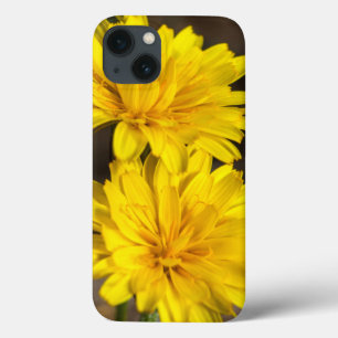 Big Pine Creek, hillside, Eastern Sierra Nevada iPhone 13 Case