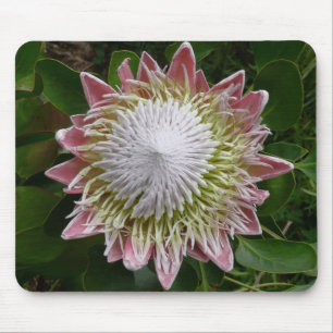 Big Pink and White Flower Nature Photo Mouse Pad