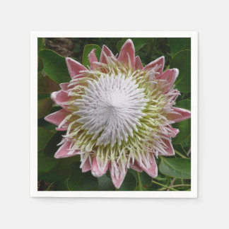 Big Pink and White Flower Nature Photo Napkin