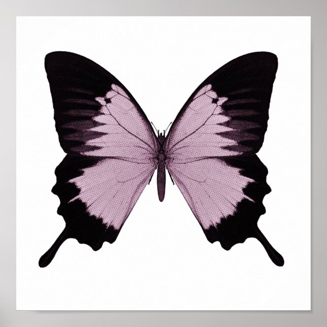 Big Pink & Black Butterfly - Personalise Poster (Front)