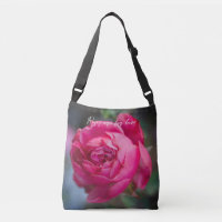 Big pink rose