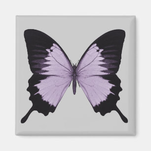 Big Purple & Black Butterfly Magnet