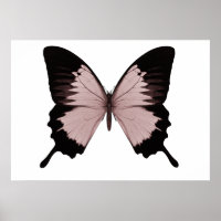Big Red & Black Butterfly