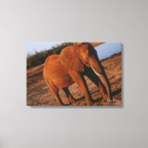 Big Red Canvas Print
