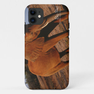 Big Red Case-Mate iPhone Case