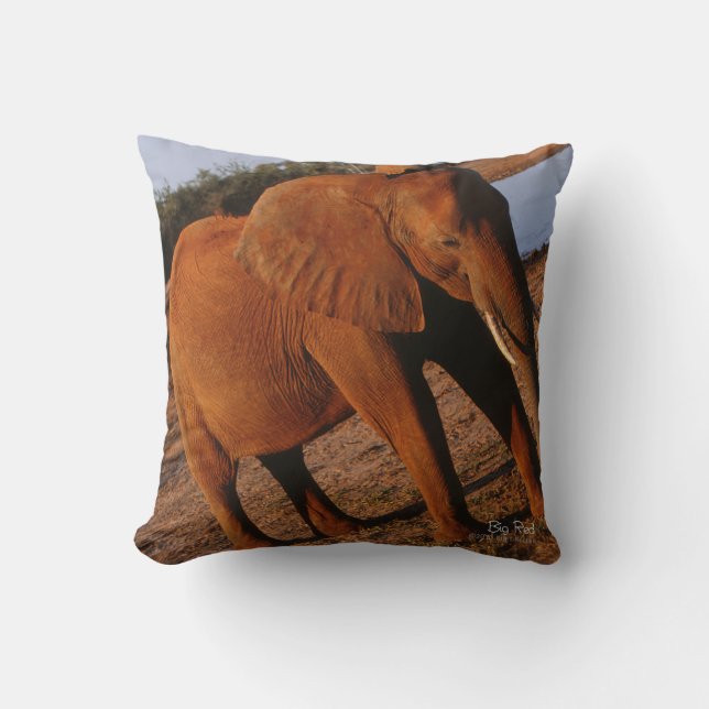 Big Red Cushion (Front)