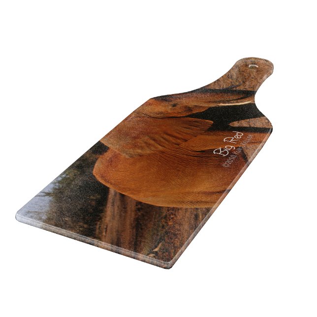 Big Red Cutting Board (Corner)