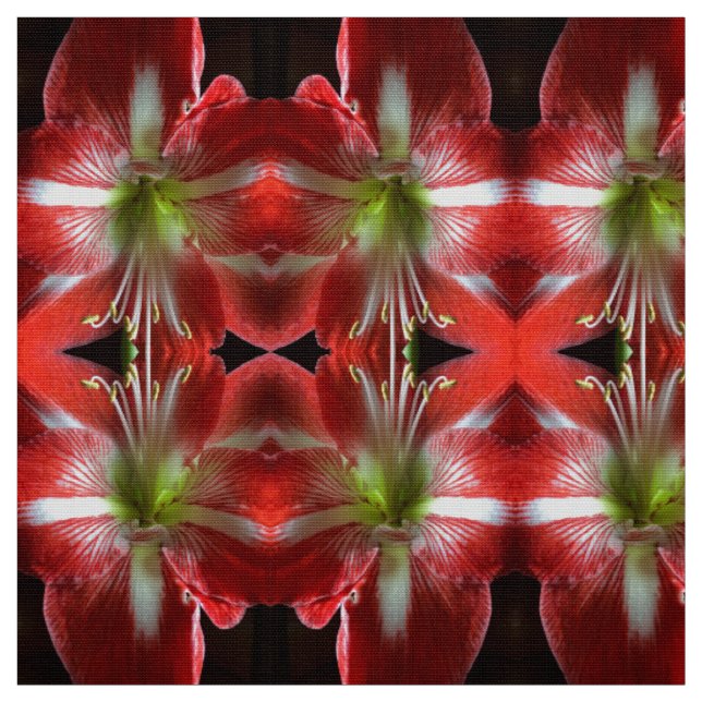 Big Red Fabric (Swatch)