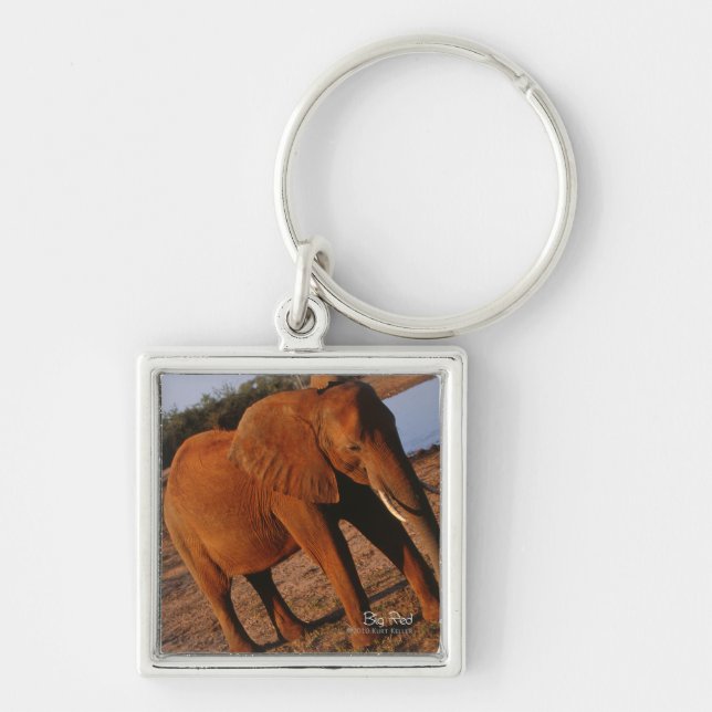 Big Red Key Ring (Front)
