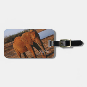 Big Red Luggage Tag