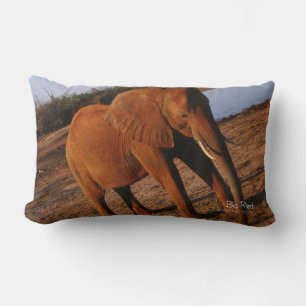 Big Red Lumbar Cushion