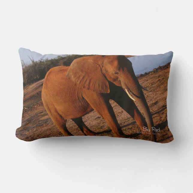 Big Red Lumbar Cushion (Front)