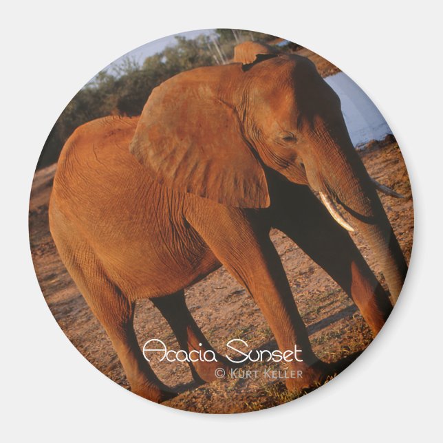 Big Red Magnet (Front)