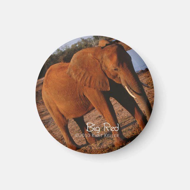 Big Red Magnet (Front)