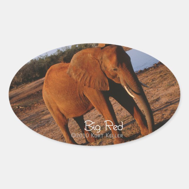 Big Red Oval Sticker (Front)