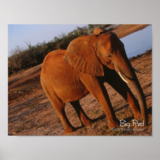 Big Red Poster (Front)