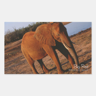 Big Red Rectangular Sticker