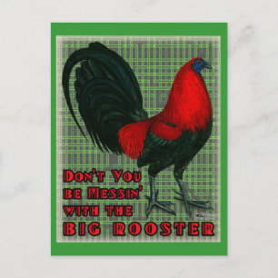 Big Red Rooster Postcard