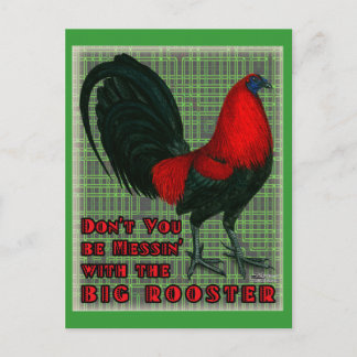 Big Red Rooster Postcard