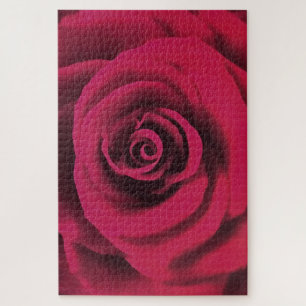 Big Red Rose Jigsaw Puzzle