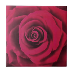 Big Red Rose Tile