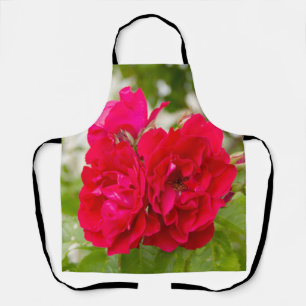 Big red roses in the garden   apron