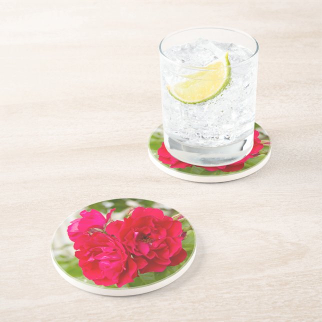 Big red roses in the garden  coaster (Side)
