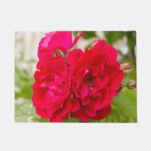 Big red roses in the garden doormat